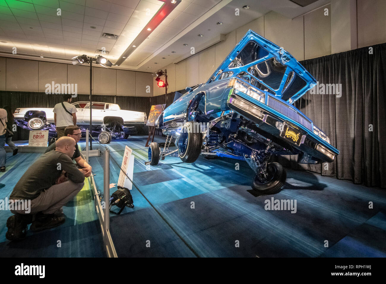 Toronto, Ontario, Canada, 21 febbraio 2019. Custom made pilota bassa auto sul display a Toronto International Autoshow. Foto Stock