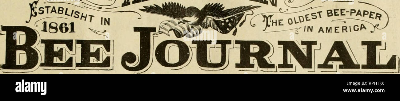 . American bee journal. La cultura delle api; le api. ^^ERICA.]^. Xli anno. CHICAGO, ILL, dicembre 5,1901, No 49. * Editoriale. * Ho il grido di miele adulterato, sentito ultimamente in (.hieago, è legato ad interferire in qualche modo con le vendite di pura dell'articolo. Il quotidiano Tribune, di questa città, aveva il fol- lowinjj in proposito lo il soggetto nel suo problema di nov. 15, introdotto da una voce in grande, " Legge smette di bogus il miele;'' tilucose miele, sotto le mentite spoglie attraenti di " puro miele di trifoglio." sta invadendo il Chi- cago mercati in misura tale che gli sforzi dello Stato puro ispezione alimentare Foto Stock