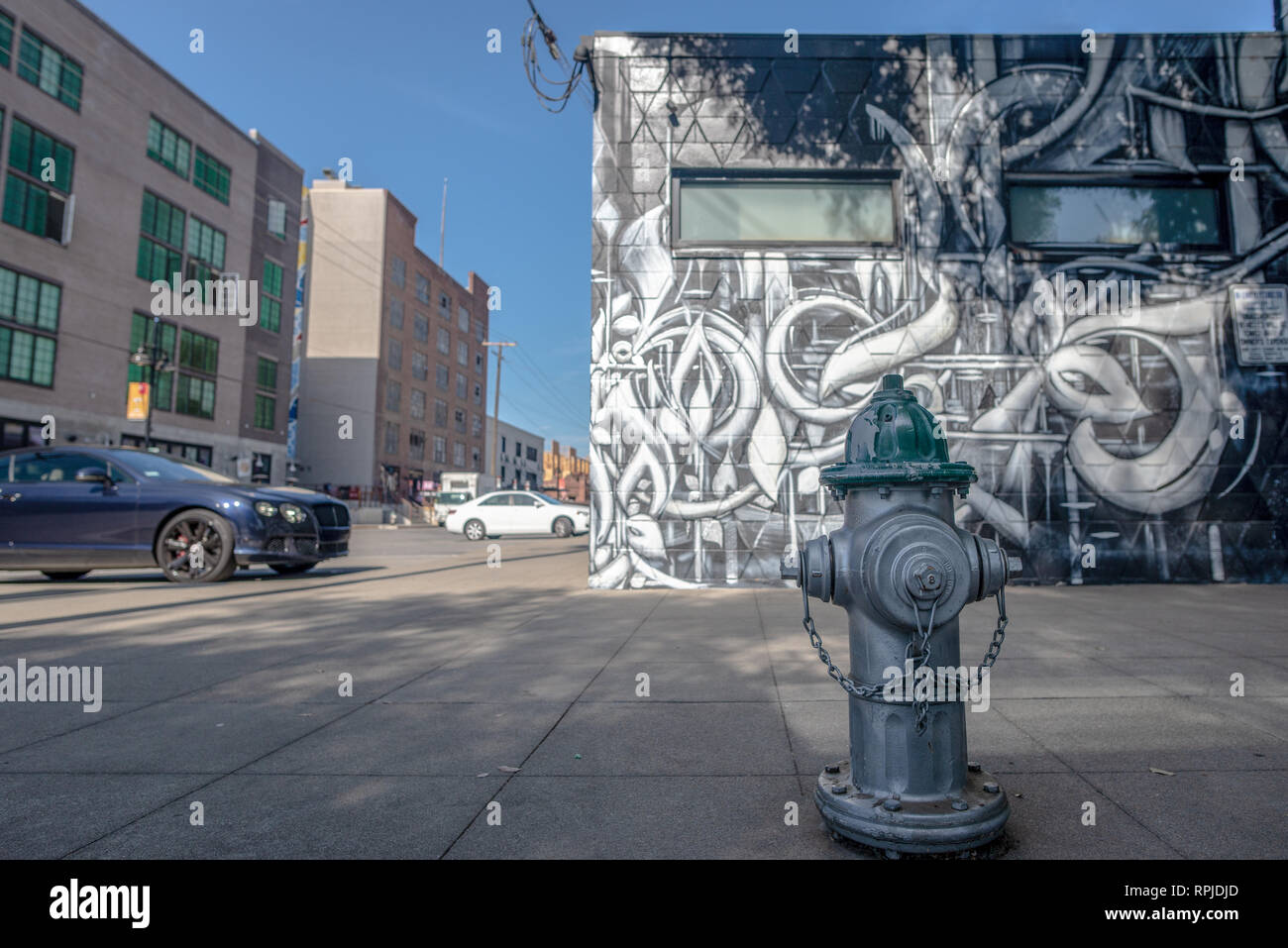 Street murale dipinto principalmente in toni di grigio con un idrante di fuoco anche verniciato in grigio in primo piano a Sacramento, California Foto Stock