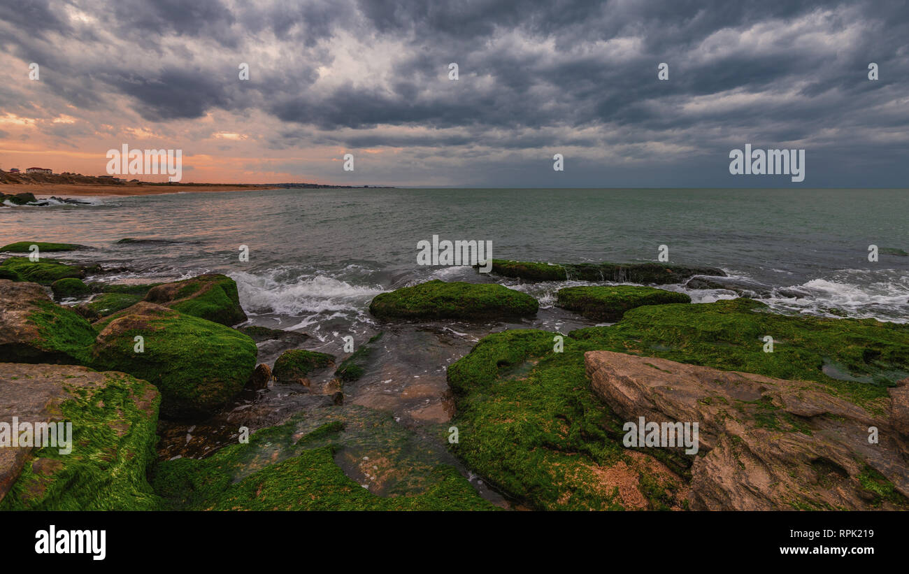 Colori del mare a riva con le alghe verdi a nuvoloso meteo Foto Stock