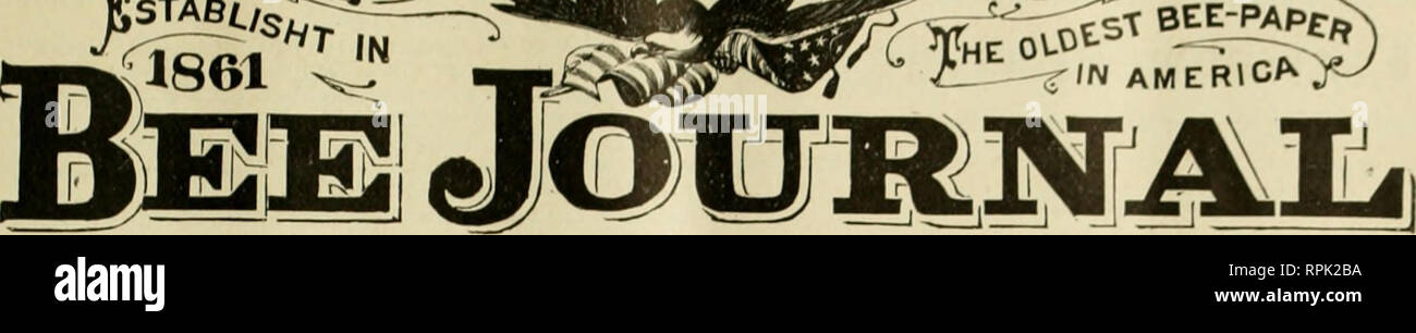 . American bee journal. La cultura delle api; le api. J^s^bI^ ^&GT;^li&GT; ^ERICA.^^^3^ ^^ ill*5IC'N'AMERICA )-^. 42dYEAR. CHICAGO, ILL, 1 maggio 1902, n., 18, ^ editoriale. - U I New York Anti-Bogus-miele Ijaw. -Una tale legge è stata recentemente emanato, e è un credito a quel grande stato. Sarà un valore molto a tutto il paese di avere l'adulterazione del miele arrestato nella città di New York. Chicago utilizzato per essere la sede per tali lavori, ma poiché il cibo puro Commis- sione è entrato in esistenza, vi è stato pre- cious poco miele adulterato messo sul mercato aperto qui e la maggior parte di esso è stato etichettato in modo Foto Stock
