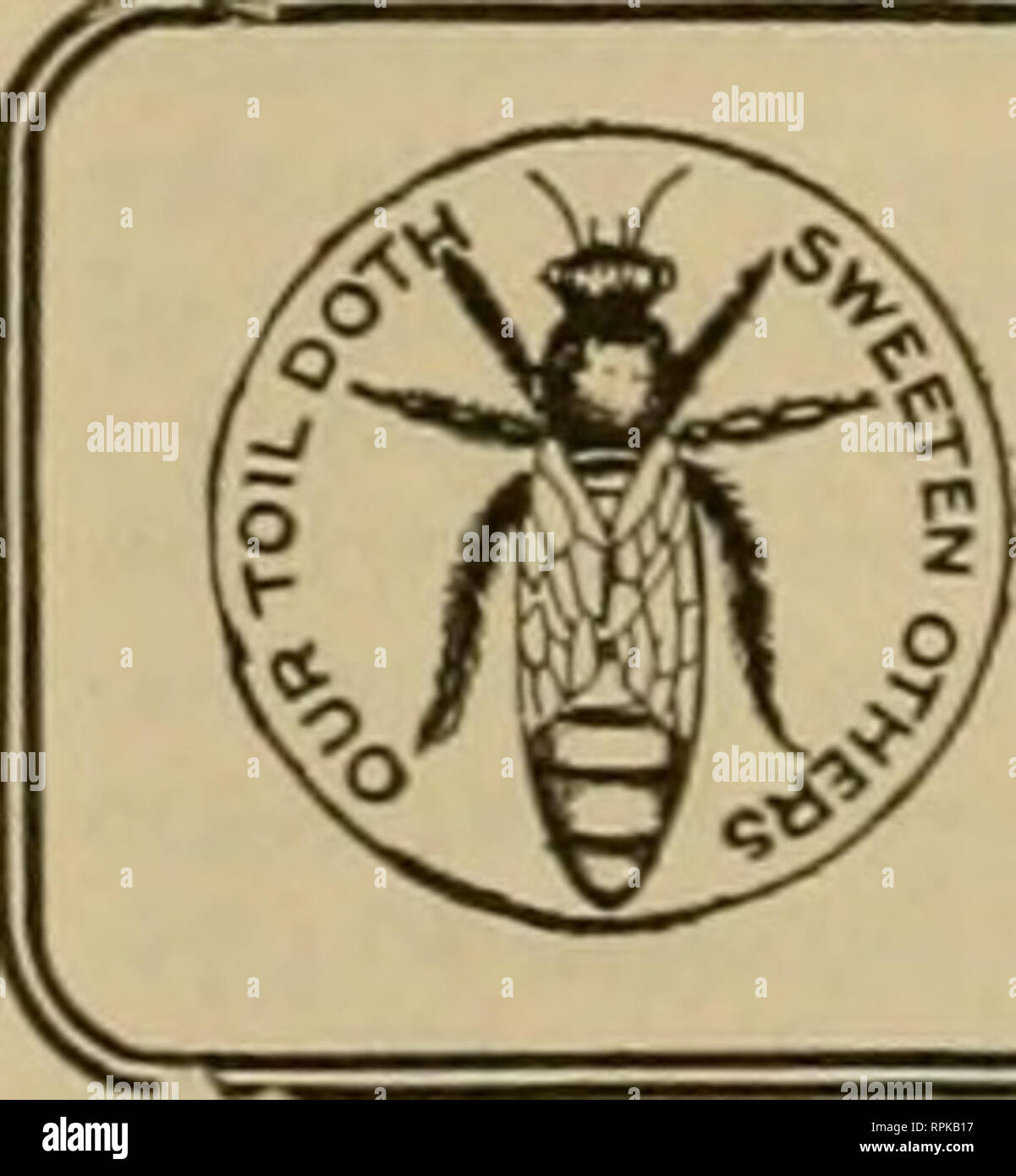 . American bee journal. La cultura delle api; le api. 824 L'AMERICAN BEE JOURNAL nov. 30, 1905 sforzi ha esposto i fatti chiaramente la gente farà una cote di esso e con il tempo non ci sarà un forte aumento della domanda per il miele in tutto il nostro paese. " Ma," dice uno, " Bohrer ritiene che si estrae il miele è il più conveniente e più sano." Bur, persone non comprarlo attraverso la paura di essere imposto dall'artificiale fornitore di miele. Alla testa di questo pericolo lasciare che ogni apicoltore usare la sua influenza per un puro diritto alimentare, perché senza di essa la vendita di miele sarà tenuta in basso nella fu Foto Stock
