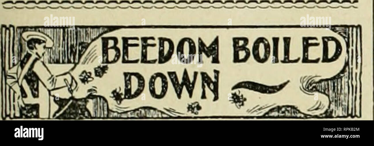. American bee journal. La cultura delle api; le api. Gen 30. ly AMERICAN BEE JOURNAL. 77 del mio allevamento . .Ancora, io tornerò a comprare quando ho bisogno di tlicni. Ora in merito U) può&lt;mentito miele: I'ur 20 anni ho prodotto sia il pettine ed estratta. Non ho mai visto .canditi di miele, e non hanno mai avuto alcuna di niy estratto addirittura mostrano segni di canditura e hanno mantenuto per tre anni in vetro e vasi di creta. Quando sto sliort di estratto e Iniy per riempire niiit, trovo il miele canditi di quasi alla sommità del can. Desidero alcune sagge wonid dire il motivo di questo. Questo .Xmerican fondo (St. Cl Foto Stock