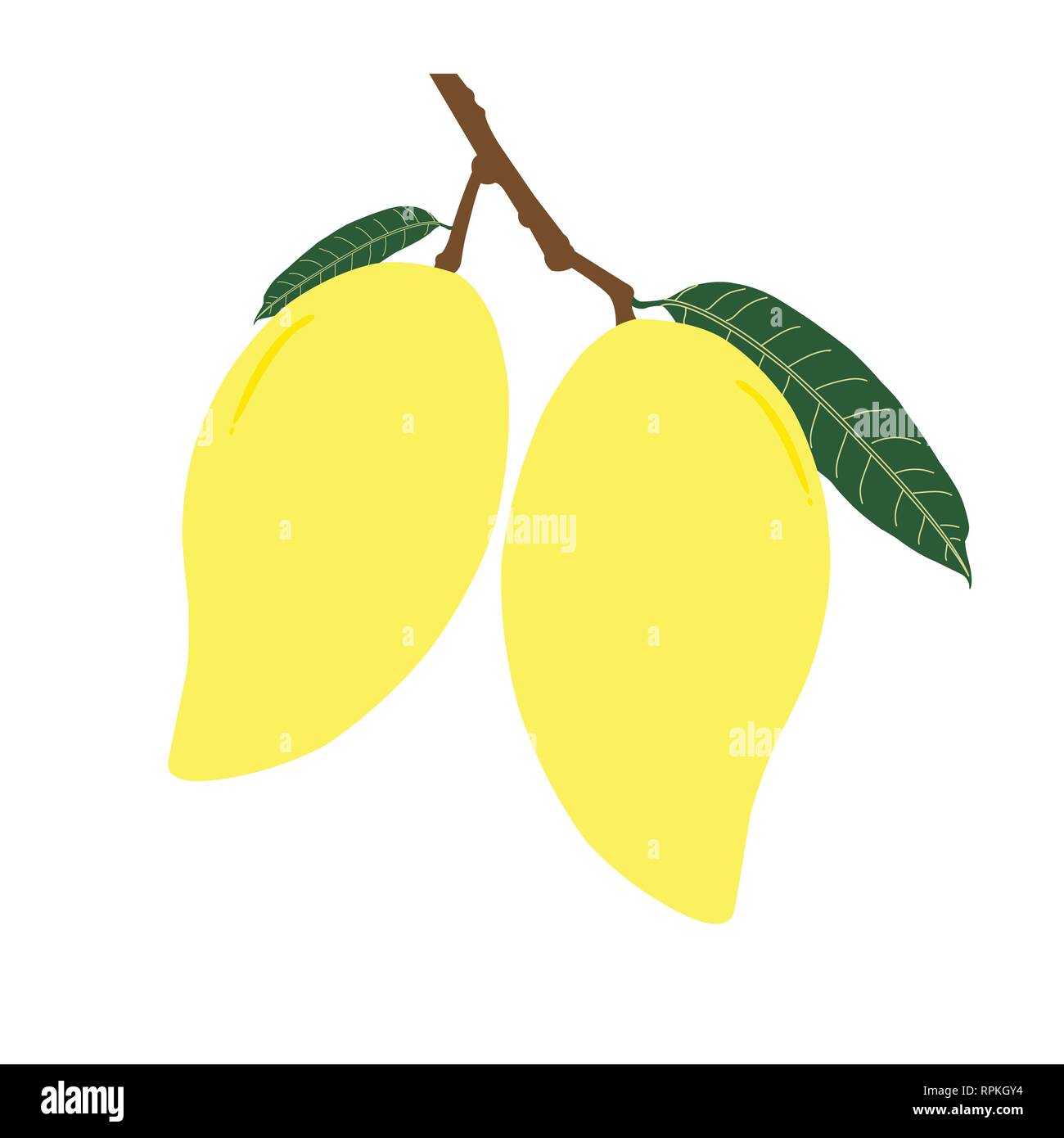 Due mango maturo e foglie con diramazione. Frutta estiva per salute e stile di vita. Illustrazione Vettore icona. Illustrazione Vettoriale