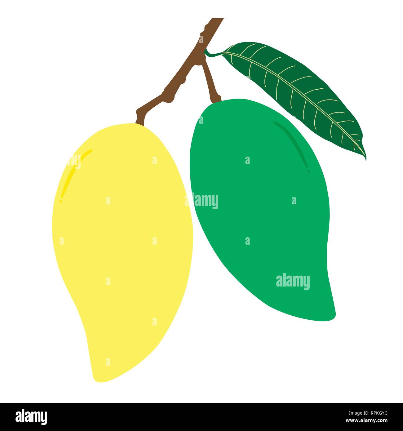 Materie e mango maturo e foglie con diramazione. Frutta estiva per salute e stile di vita. Illustrazione Vettore icona. Illustrazione Vettoriale