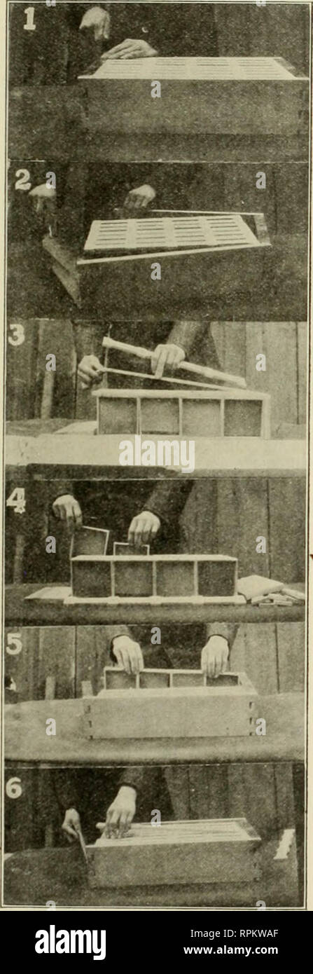 . American bee journal. La cultura delle api; le api. Maggio, 1909. American Bac Journalj 167 )&GT;^^^^ 1 in alcuni casi il polline in questi pettini o no brood- allevamento sarà avviato in primavera fino a una alimentazione di polline può essere portata dall'esterno. Wm. McEvoy sembra molto entusiasmo in materia, e dice questo in Cana- dian Bee ufficiale: questa caduta trattamento della miniera è la più semplice, più economico e di gran lunga il migliore di sempre offerti al pubblico. Ho seguito fin dal 1875, e reso perfetto cure in ogni caso, e mai in tutta la mia lunga esperienza ho avuto un singolo guasto. Mi hanno trattato centinaia di colonie nel mio ti Foto Stock