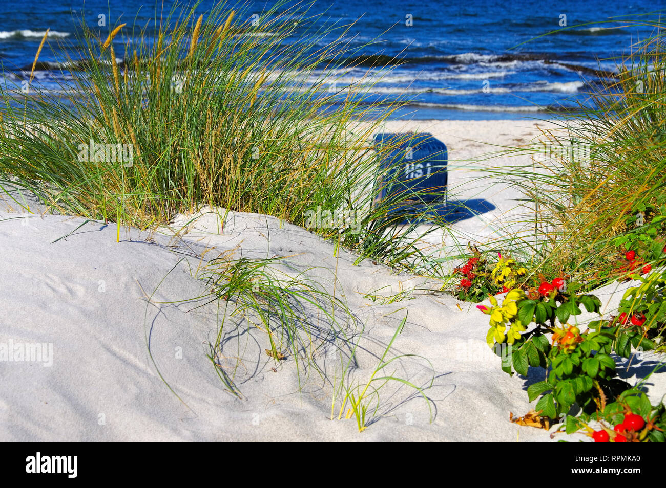 Hiddensee spiaggia sabbiosa in estate, Germania Foto Stock