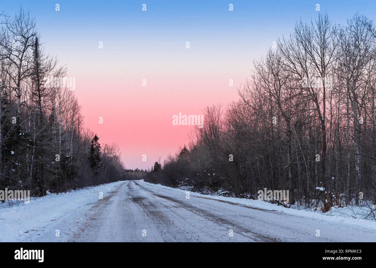 Cielo colorato in un inverno mattina su una strada ghiacciata in Sax-Zim Bog, una naturale delle torbiere e foreste nel nord del Minnesota. Duluth, Minnesota, Stati Uniti d'America. Foto Stock