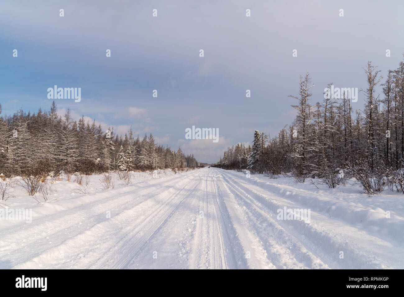 Coperte di neve la strada alla Sax-Zim Bog. Duluth, Minnesota, Stati Uniti d'America. Foto Stock