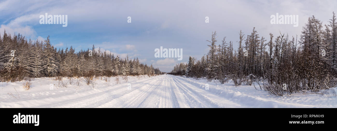 Vista panoramica della coperta di neve la strada alla Sax-Zim Bog. Duluth, Minnesota, Stati Uniti d'America. Foto Stock