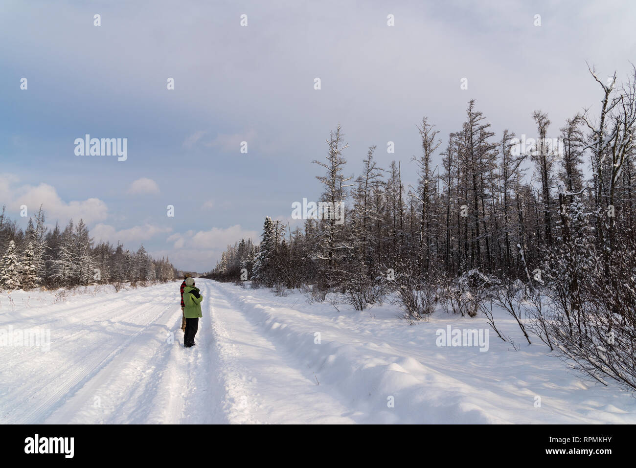 Un uomo e una donna birding su una coperta di neve strada in una fredda giornata invernale. Duluth, Minnesota, Stati Uniti d'America. Foto Stock