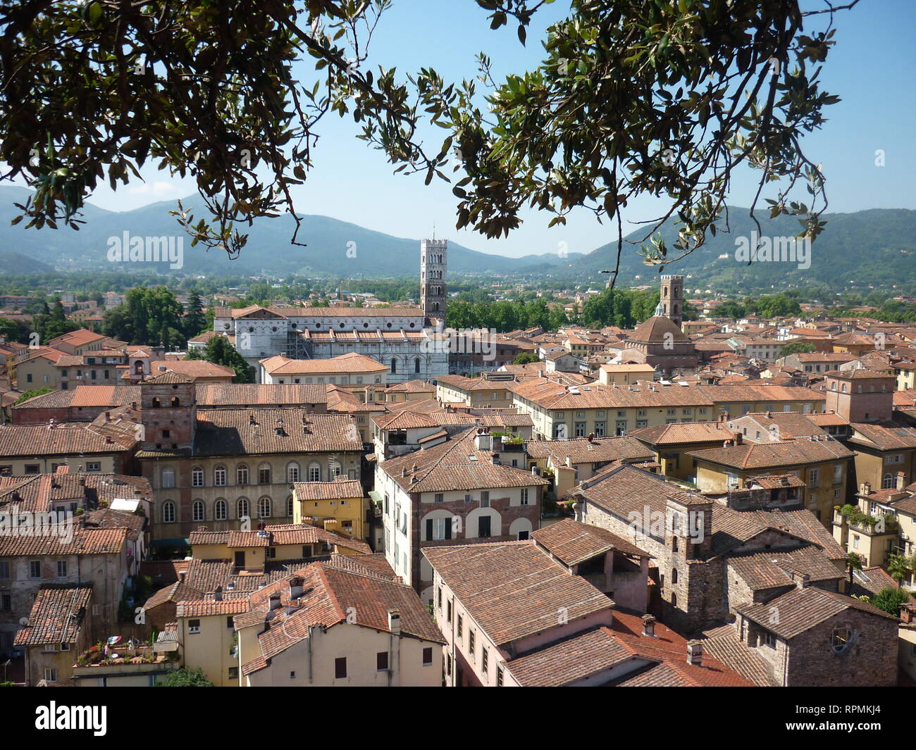 Lucca skyline strega chiese e antichi tetti del centro, viaggi toscana italia Foto Stock