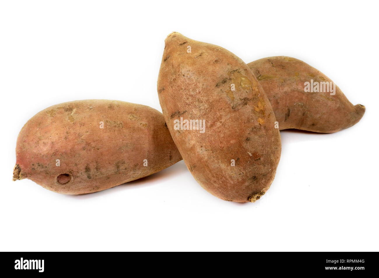 Tutta la patata dolce Ipomoea batatas in stretta fino isolato su sfondo bianco Foto Stock