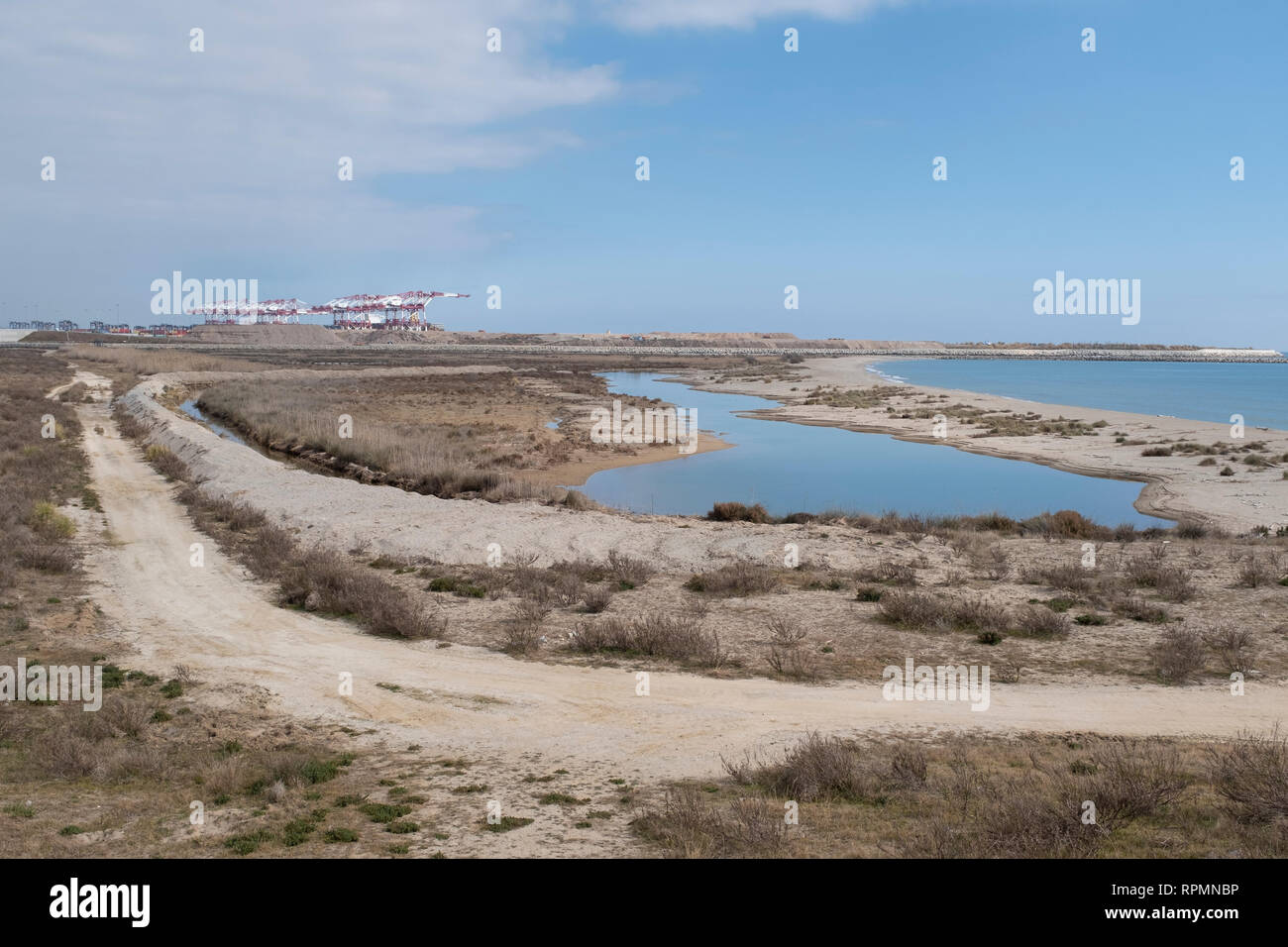 Aree naturali del Llobregat Delta con il Barcellona porto industriale area in background. Provincia di Barcellona. La Catalogna. Spagna. Foto Stock