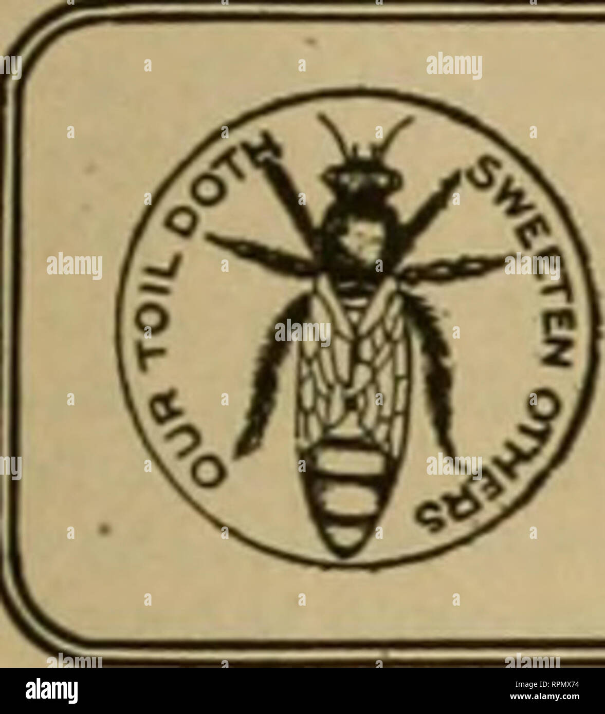 . American bee journal. La cultura delle api; le api. Maggio 18, 1905 L'AMERICAN BEE JOURNAL 357 sezioni che è stato riempito con piena di fogli di fondazione per cinque anni e sembrava di essere buono come qualsiasi. E. Whitoomb (Sebr.)-non ho potuto notare alcuna differenza. Ciò che potremmo chiamare "fresco" potrebbe essere stato compiuto un anno o più prima che siamo venuti in possesso di esso. C. H. DiBBERN (111.)-se essa non è stata esposta alla luce e aria, non è meglio. Se la fondazione è in thesections, e è stato più o meno sporca per le api, non è così buona. C. Davenport (Minn.)-non credo th Foto Stock