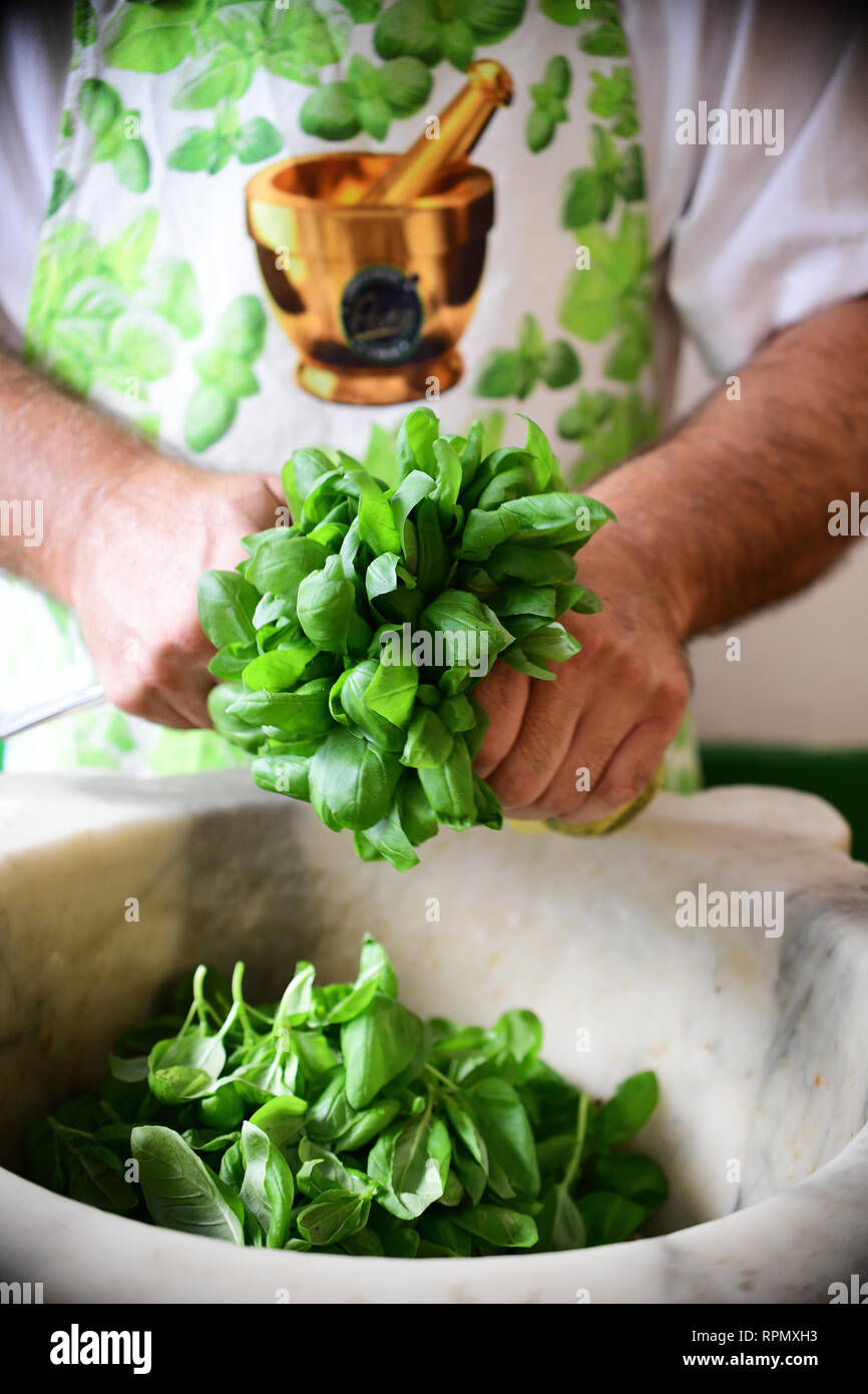 Un close-up di Roberto Panizza le mani tritare alcune foglie di basilico fresco di fare buon pesto alla genovese presso il suo ristorante Il Genovese in Genova, Italia Foto Stock