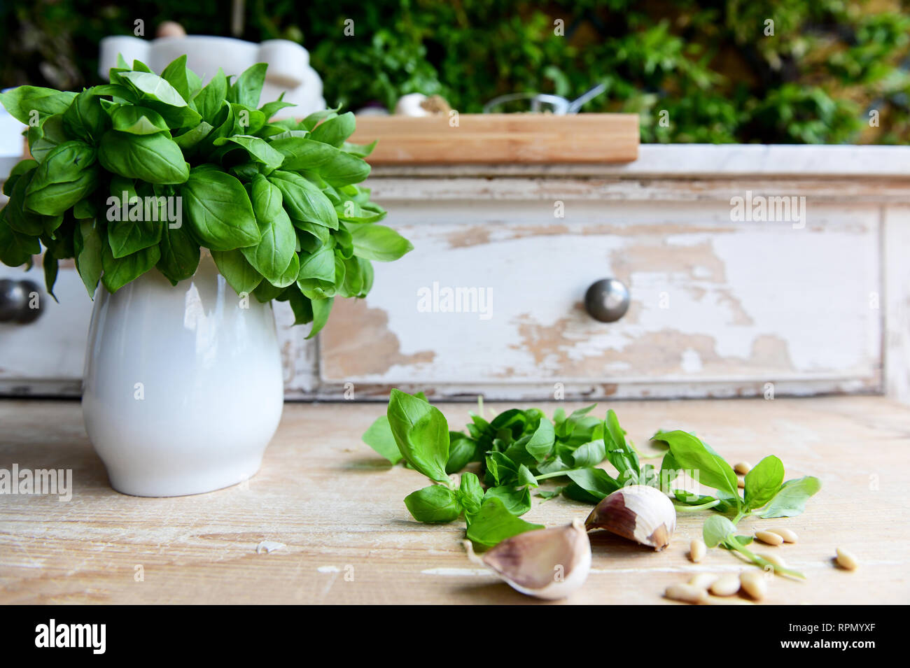 Un bouquet di carni DOP basilico genovese in una brocca con qualche foglia di basilico e aglio sul tavolo Foto Stock