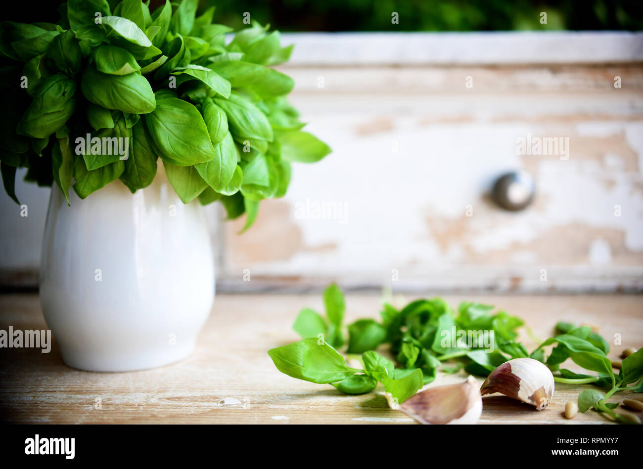 Un bouquet di carni DOP basilico genovese in una brocca con qualche foglia di basilico e aglio sul tavolo Foto Stock