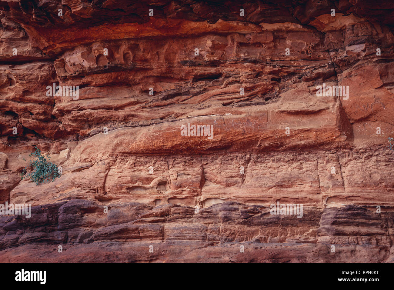 Pareti con incisioni rupestri e iscrizioni in Khazali Canyon di Wadi Rum valle chiamato anche Valle della Luna in Giordania Foto Stock