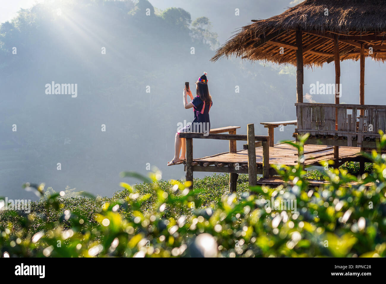 Donna che indossa hill tribe dress seduti sul rifugio nel tè verde campo. Foto Stock