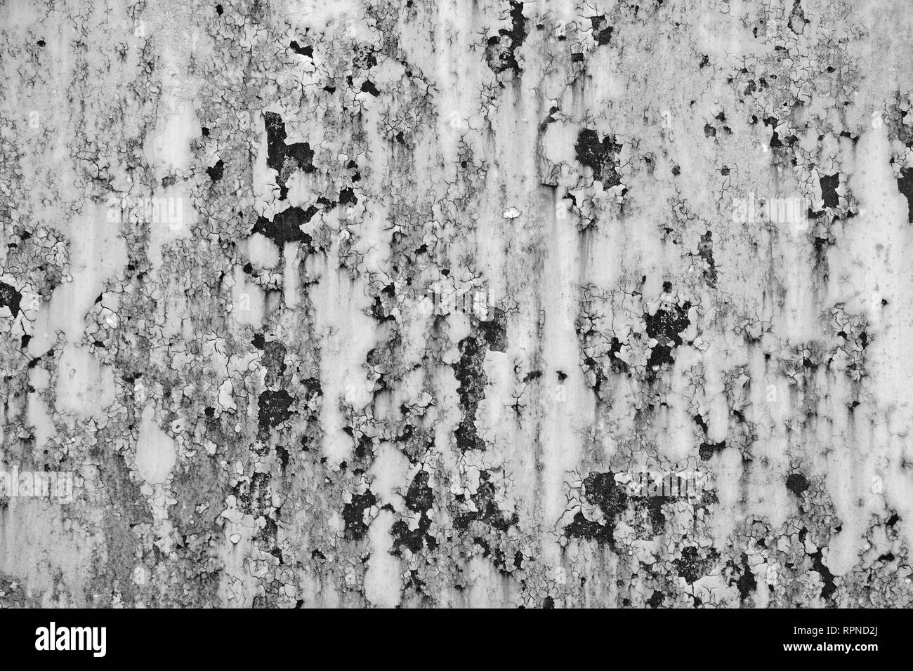 Parete con arrugginito shabby vernice verde lilla. texture. Sfondo. sfondo Foto Stock