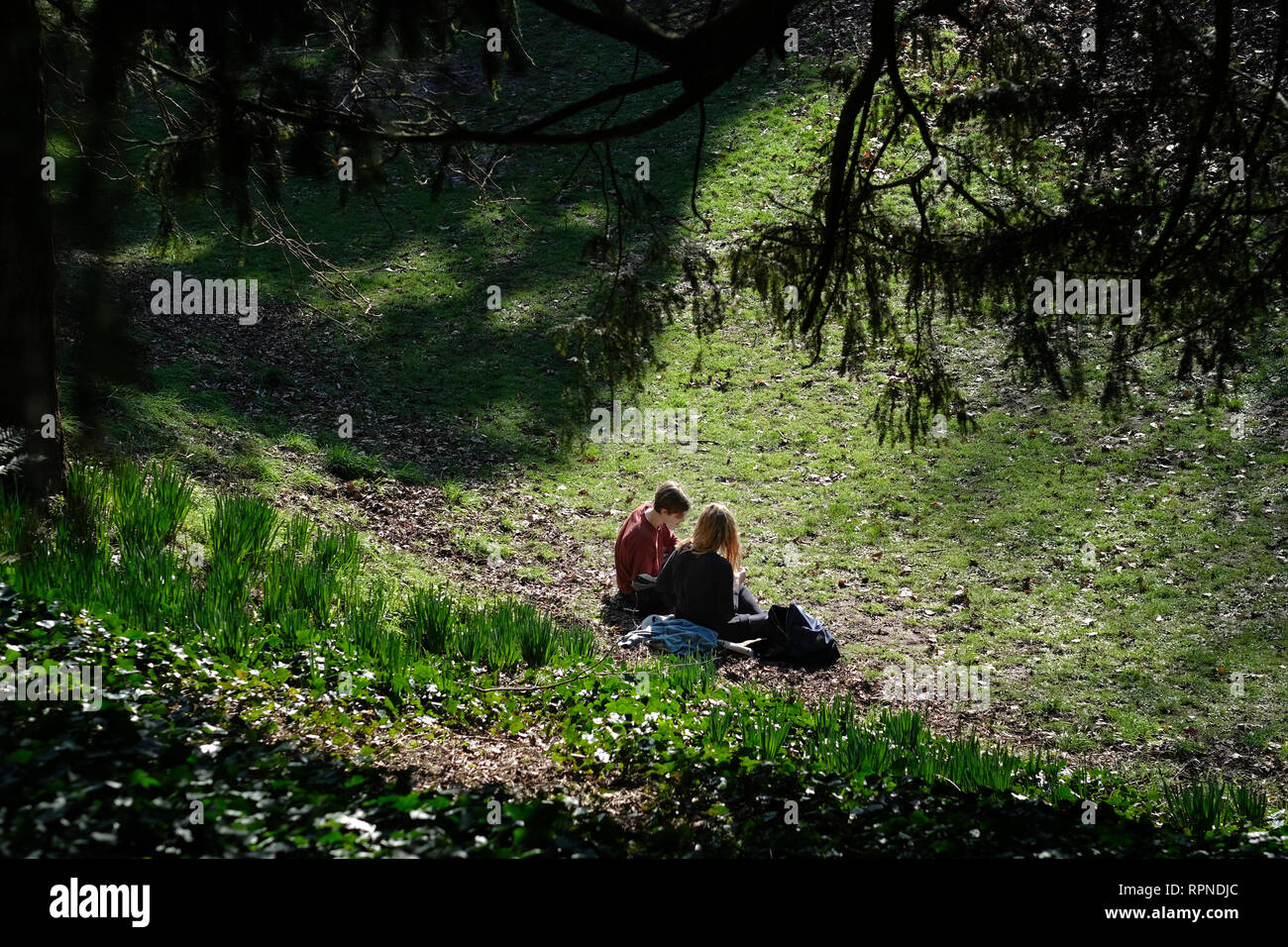 Due studenti nel parco accanto al castello di Exeter nella primavera del sole. Foto Stock