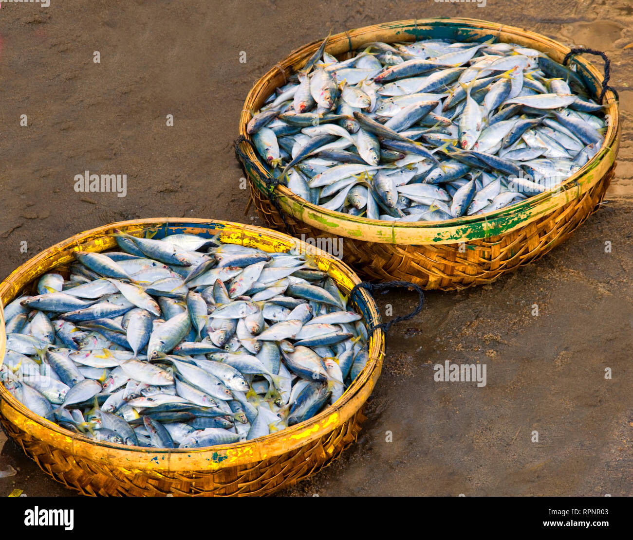 Cesti di pesce Foto Stock