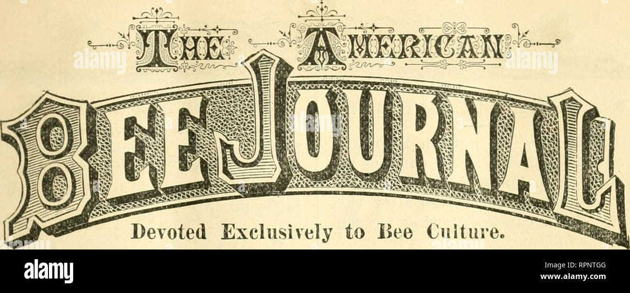 . American bee journal. La cultura delle api; le api. Vol. XVI. CHICAGO, Illinois, settembre, 1880. No. 9. Il contenuto di questo numero. Editor's Tabella: Editoriale articoli 404 a 109 cos raccolto U e sarà di 4(ii; Associazioni e convenzioni 407 crociata contro le api 108 1 Dgratitude 1118" fondazione di pettine esperimenti 403 Melilots come le erbacce 409 principe Arthur Hive 409 Convenzioni : Lancaster County, Pa 410 Wisconsin Nordorientale 411 LaCrosse, Wisconsin 412 Indiana settentrionale 412 .Northwestern Jllinois e Southwestern Wis. 412 lettera cassetto : sciame Catcher 413 Un Benvenuto Visitatore 413 soddisfacente miele Y Foto Stock