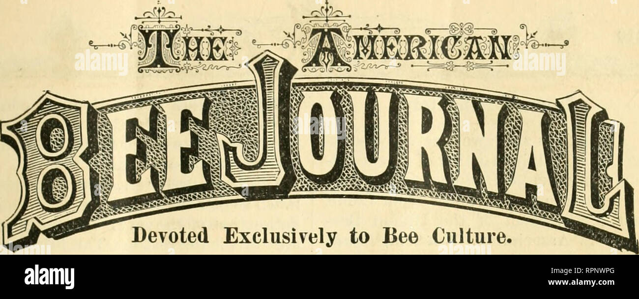 . American bee journal. La cultura delle api; le api. Vol. XVI. CHICAGO, Illinois, JTJLY, 1880. No. 7. Il contenuto di questo numero. Editor's Table : Articoli redazionali 309 a 316 Adulterations di cibo 309 Diploma dall Italia 310 una correzione 310 giallo luminoso Foundation 310 Cipriano e " santo " API 311 Seasonable accenni 312 nuove invenzioni in Inghilterra 312 sposati e si insediarono nella vita 313 La Dunham fondazione di pettine 314 formiche nell'apiario 314 British Apiarists 314 Curculione 315 api in Kansas 315 importanza delle api per gli antichi 315 estratta rispetto al miele di favo separatori 316 fatta di Scheda Corresponde 316 Foto Stock