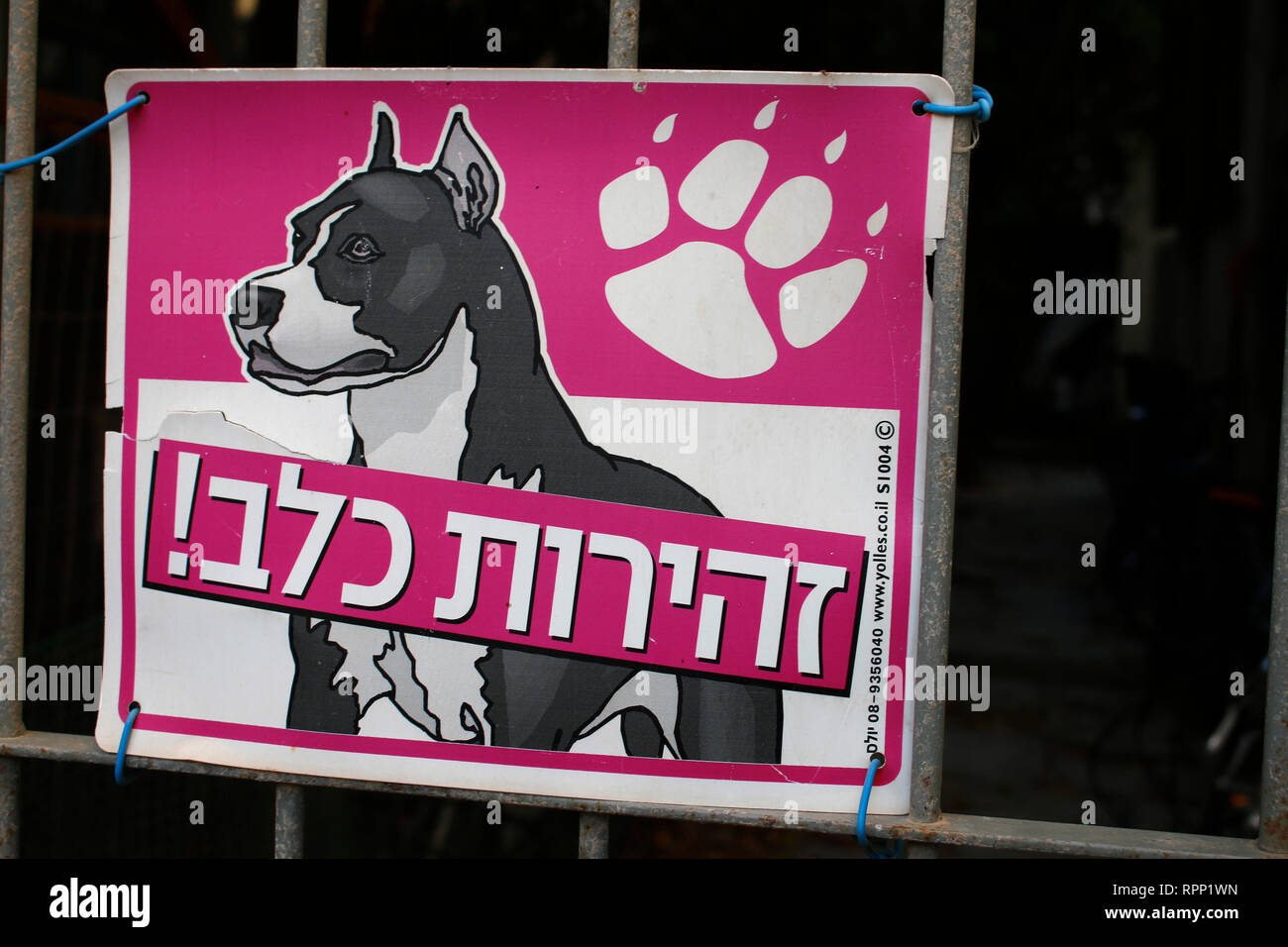 Warnung vor dem Hunde (Pitbull Terrier), Tel Aviv, Israele (nur fuer redaktionelle Verwendung. Keine Werbung. Referenzdatenbank: http://www.360-berlin. Foto Stock