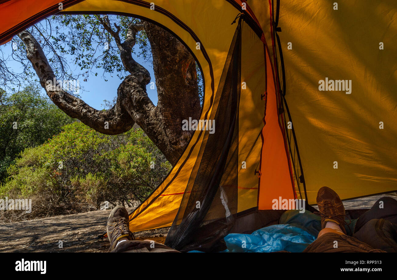 POV dall'interno di una tenda da campeggio nel parco statale di Leo Carrillo, Malibu, CA. Foto Stock