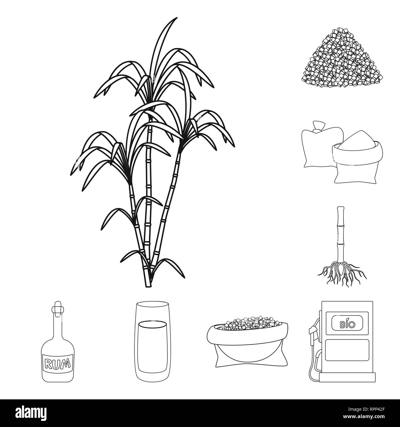 Il design del vettore di zucchero e logo del campo. Raccolta di zucchero e di stock di piantagione illustrazione vettoriale. Illustrazione Vettoriale