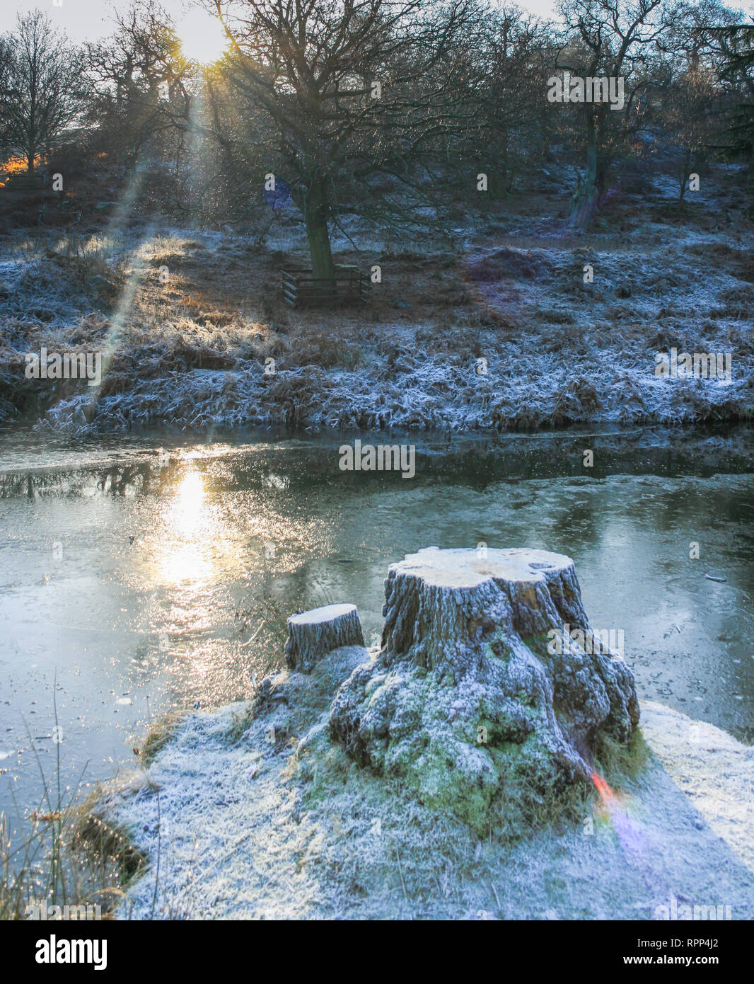 Frosty mattina inverno scena di Glenfield Lodge Park vicino a Leicester, Leicestershire, Regno Unito Foto Stock