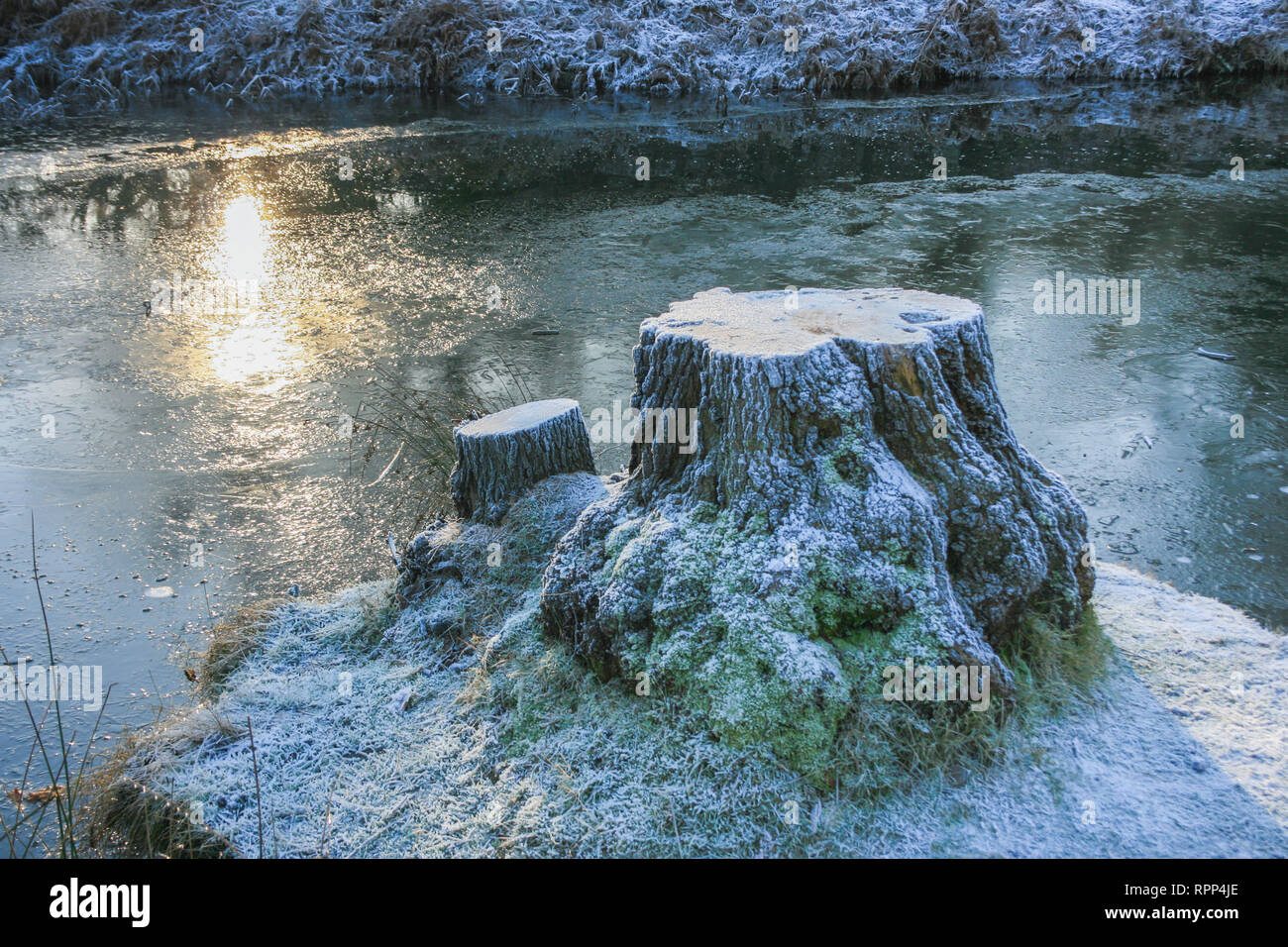 Frosty mattina inverno scena di Glenfield Lodge Park vicino a Leicester, Leicestershire, Regno Unito Foto Stock