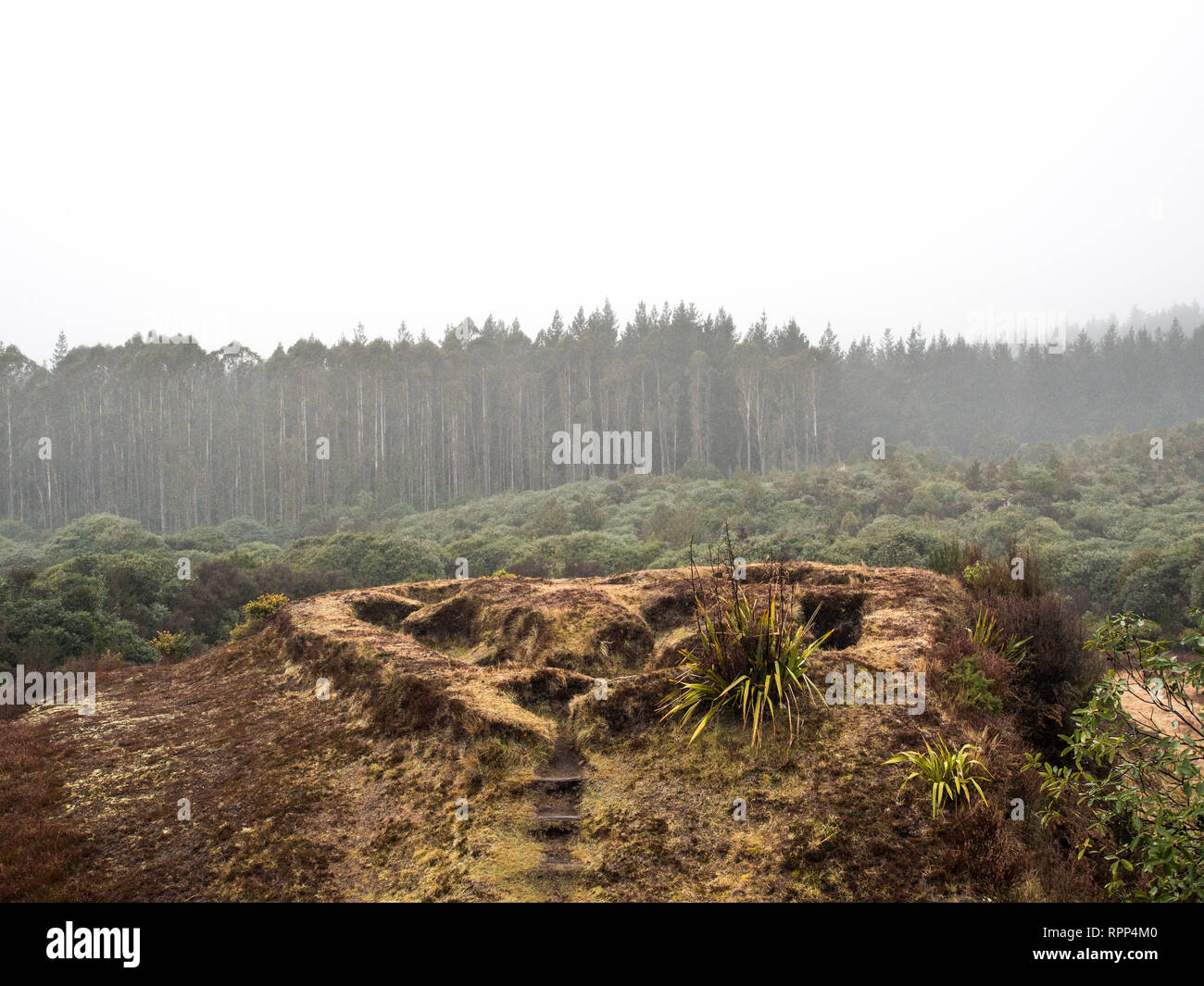 La minore redoubt, un giorno di pioggia, Te Porere, Tongariro, Nuova Zelanda Foto Stock