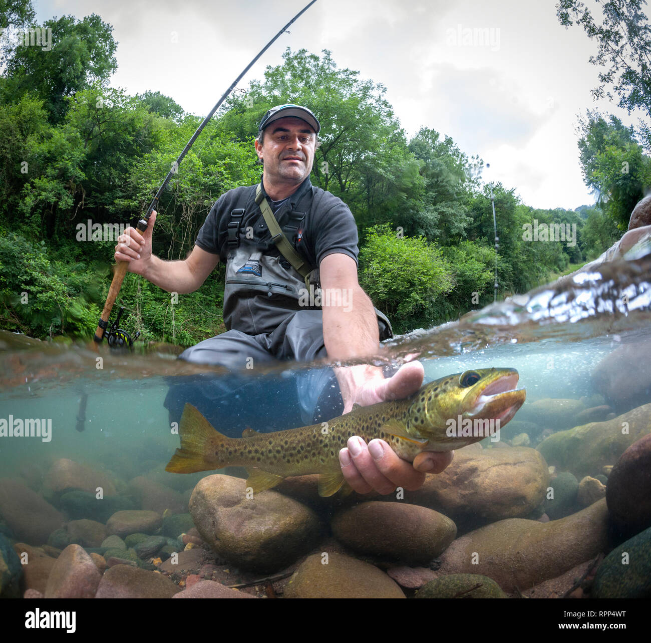 Un pescatore che la cattura di una trota di fiume (Salmo trutta fario), nella valle di Baztan (Spagna). Tipicamente Pirenei, questa deriva la pesca necessita di esche naturali. Foto Stock