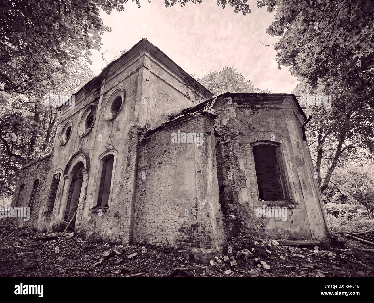 Vecchio abbandonato la Chiesa di San Nicola ruderi in Estonia. Il lussureggiante fogliame degli alberi e foreste che coprono la bellezza di questo antico edificio rovinato. Seppia co Foto Stock