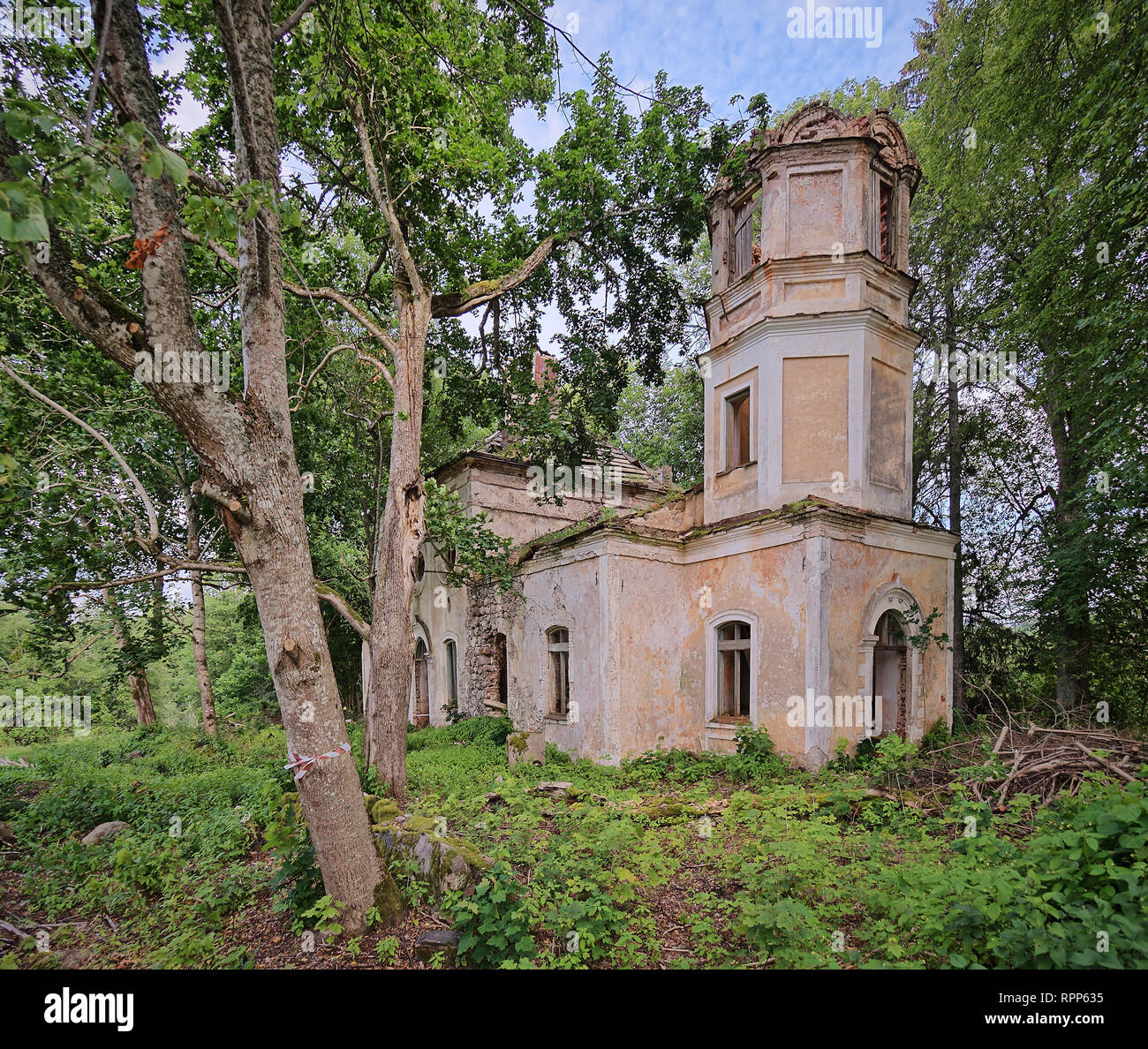 Vecchio abbandonato la Chiesa di San Nicola ruderi in Estonia. Il lussureggiante fogliame degli alberi e foreste che coprono la bellezza di questo antico edificio rovinato. Foto Stock