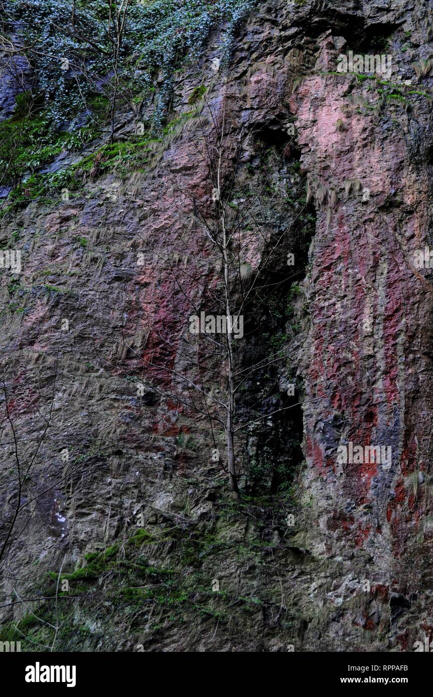 Cliff all'ingresso Peak Cavern sopra acqua Peakshole river, Castleton, Derbyshire, Regno Unito. Foto Stock