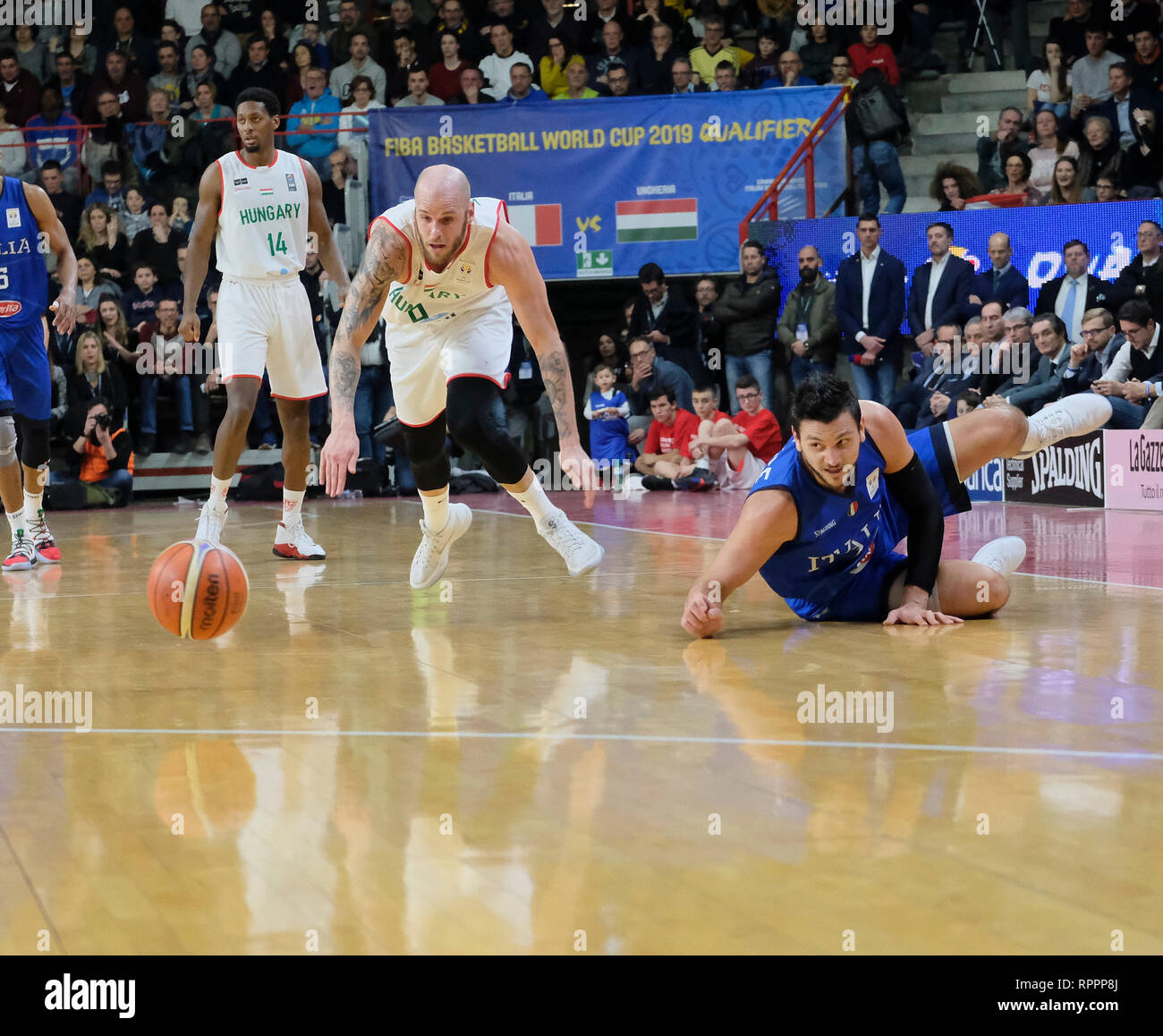 Foto Simone Raso/LaPresse 22-02-2019 Varese (Italia)basketItalia vs Ungheria - Qualificazioni Mondiale Basket Cina 2019Nella foto: GentilePhoto Simone Raso/LaPresse 22-02-2019 Varese (Italia)basketItalia vs Ungheria vs World Cup 2019 qualifiersin il pic: Gentile Foto Stock