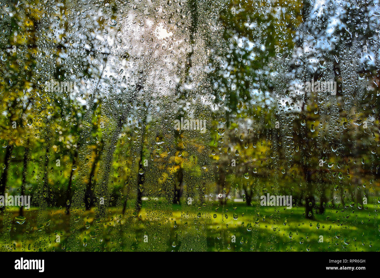 Vivaci e colorati di autunno paesaggio sfocata nel parco cittadino con fogliame umido dopo la pioggia attraverso la finestra umido vetro con gocce di pioggia. Autunno piovoso meteo e Foto Stock