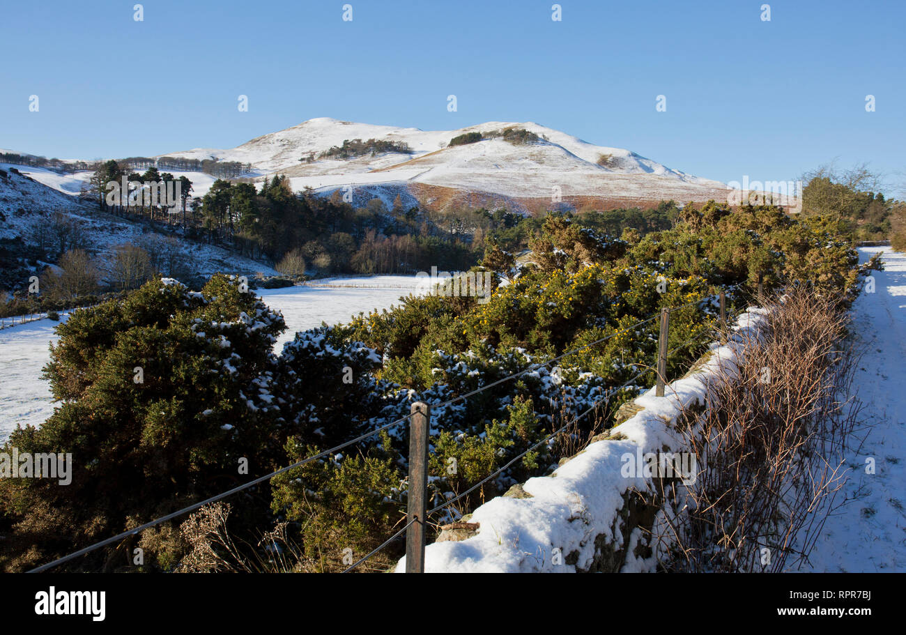 Scotti legge, Pentland Hills, Midlothian, Scozia Foto Stock