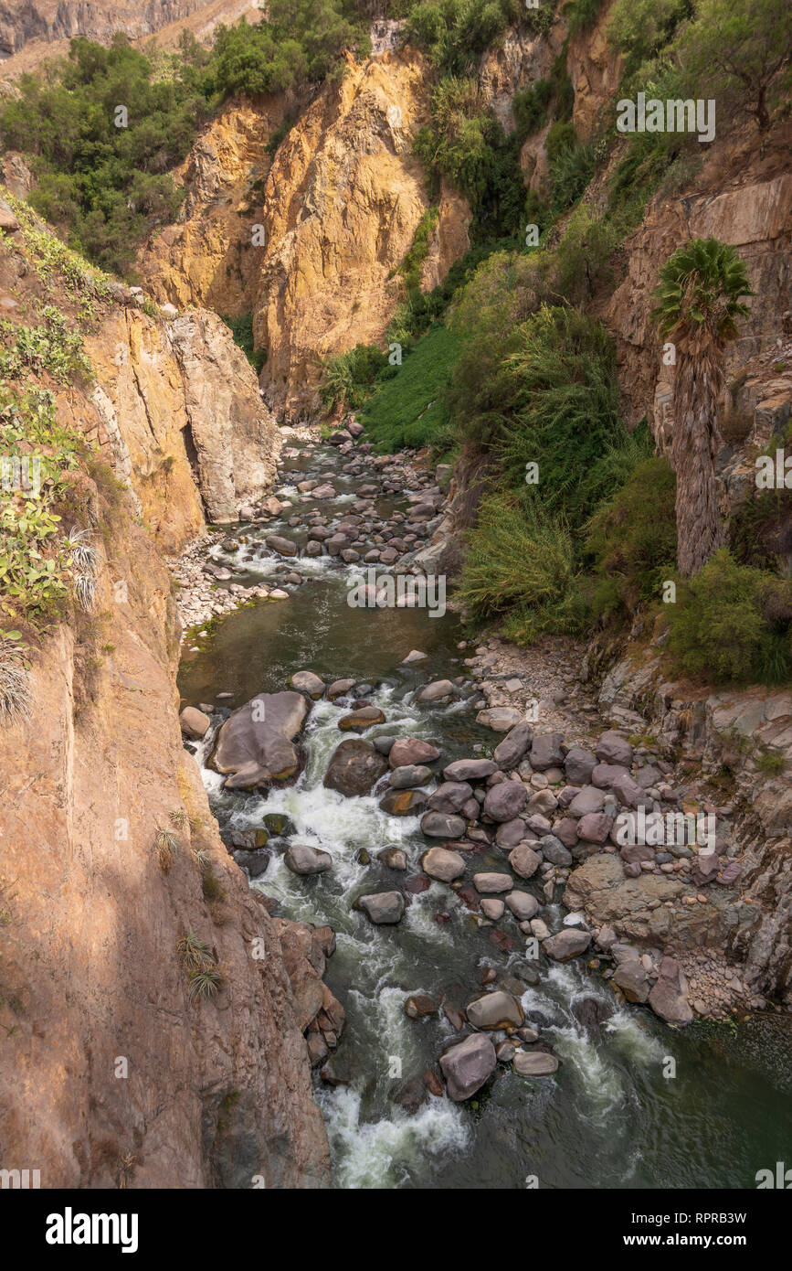 Profondo fiume Colca Canyon in Perù da sunny sera presa da sopra Foto Stock