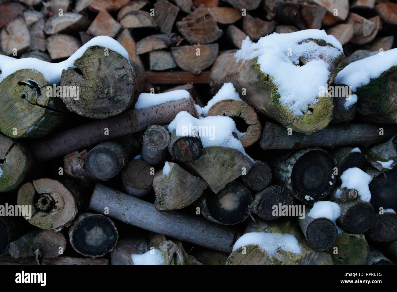Tritate la lettura di legno per essere bruciato in inverno, coperto da un nuovo strato di neve Foto Stock