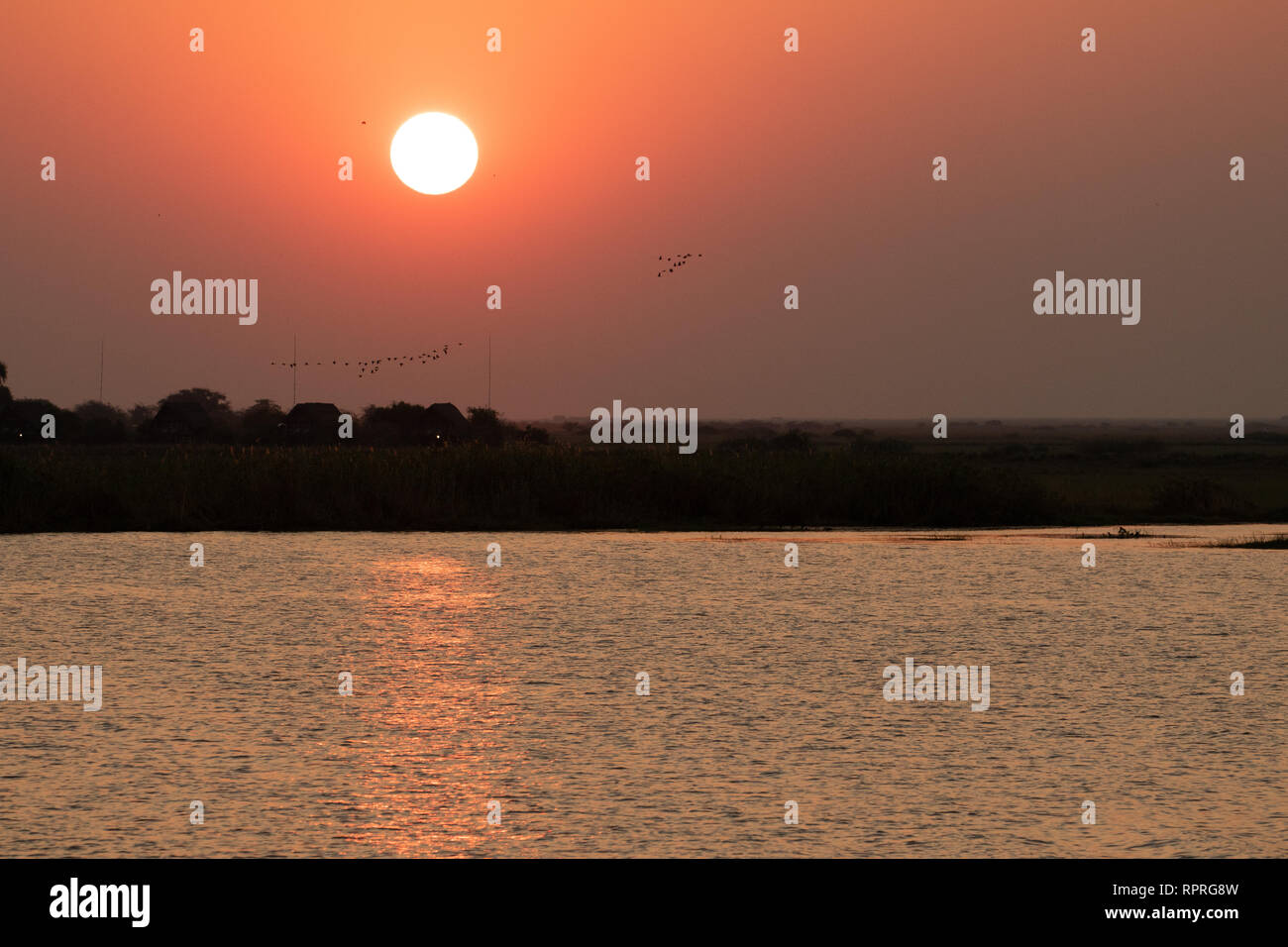 Tramonto sul fiume Chobe nel Chobe National Park, sul confine del Botswana e della Namibia Foto Stock