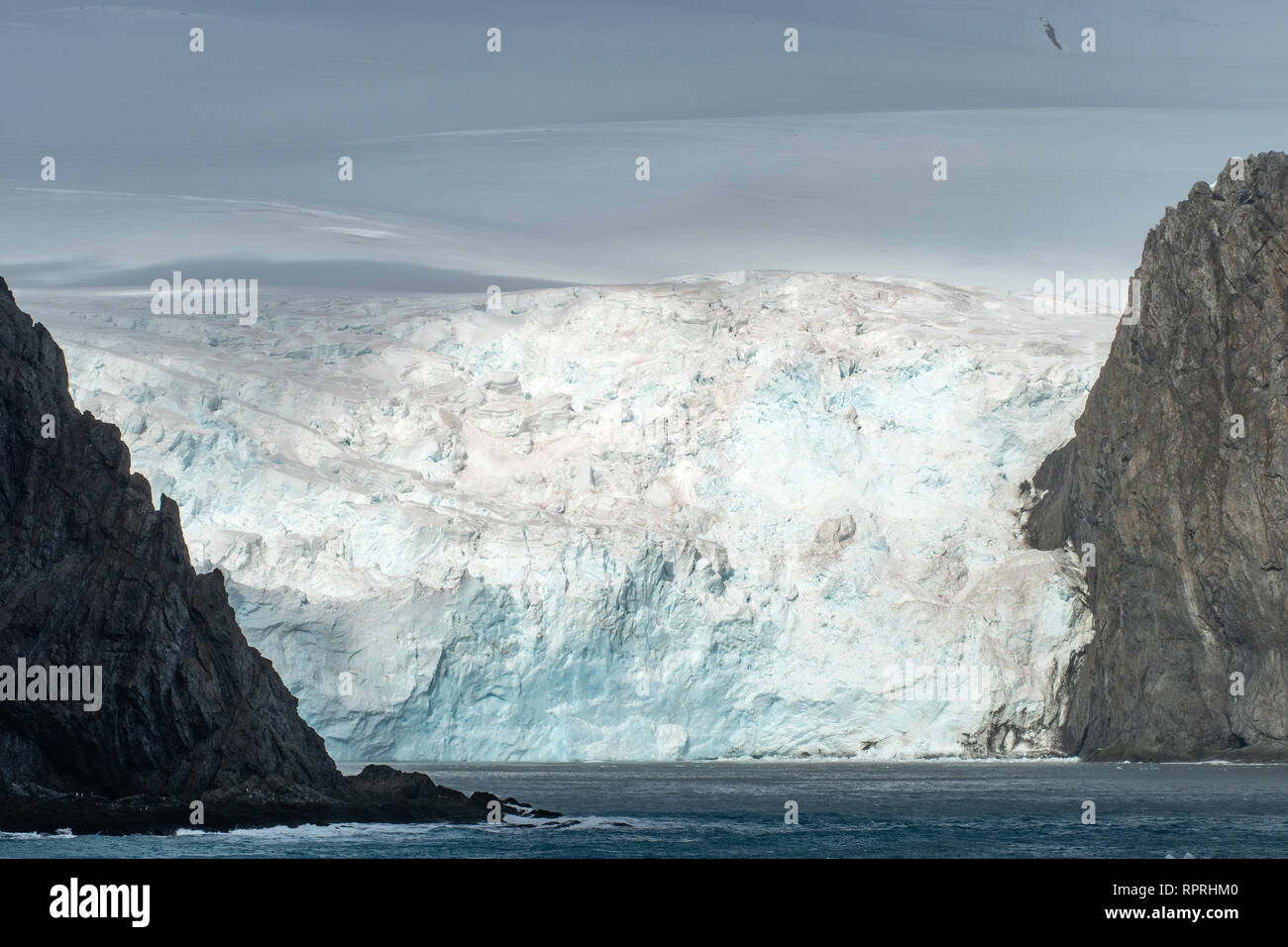 A Glacier Point Wild, Elephant Island Foto Stock