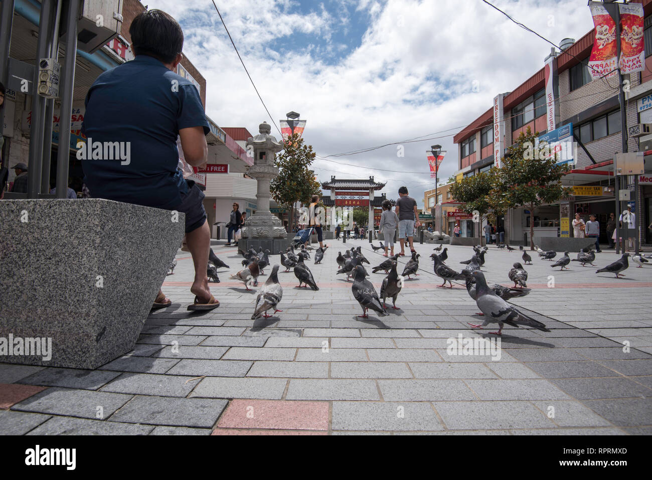 Un uomo seduto alimentare piccioni in libertà Plaza viale pedonale a Cabramatta a Sydney Australia del Sud sobborghi occidentali, Foto Stock