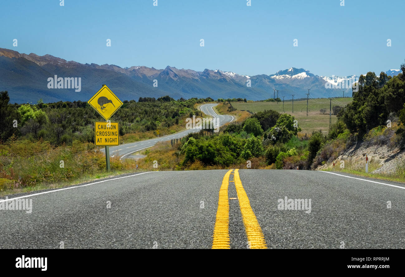 Kiwi cartello stradale a zig zag strada in Nuova Zelanda Foto Stock