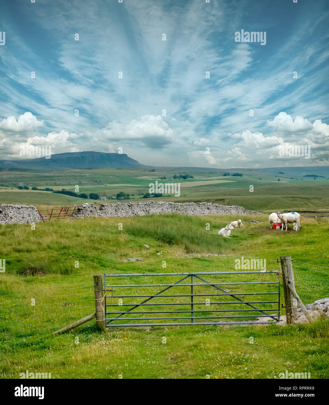 Paesaggio rurale in North Yorkshire, Inghilterra Foto Stock