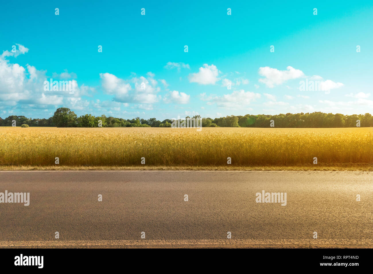 Svuotare country road con il campo e il paesaggio rurale sullo sfondo di una giornata di sole Foto Stock